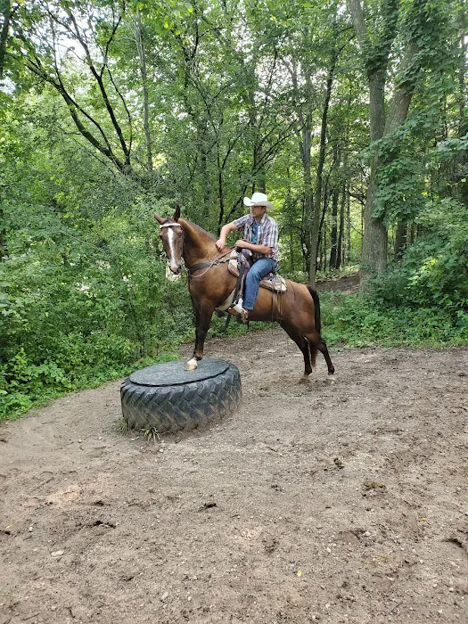 Ionia Equestrian-Rustic Picture 9