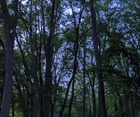 Riverbend Campground