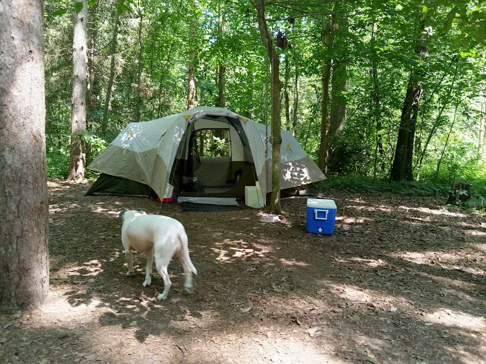 Life Adventures Camp Picture 8