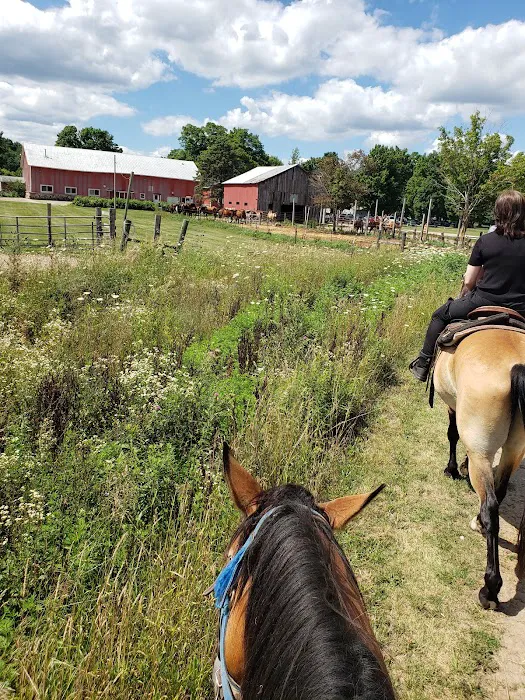 Double R Ranch Picture 3