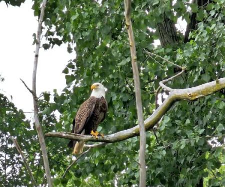 River Bend Campground