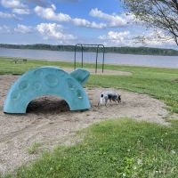 Mississinewa Lake Seasonal Campground ico