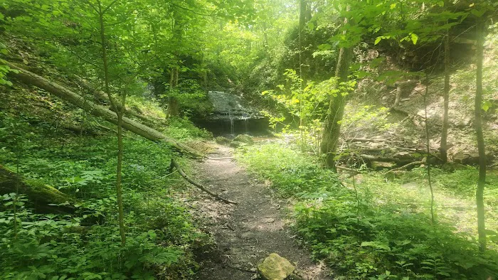 Salamonie River State Forest Family Campground Picture 1