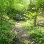 Salamonie River State Forest Family Campground