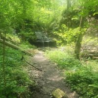 Salamonie River State Forest Family Campground ico