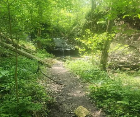 Salamonie River State Forest Family Campground