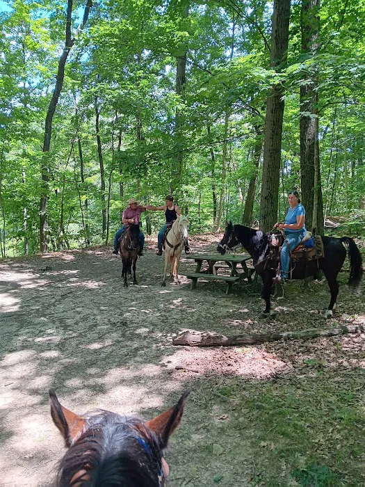 Salamonie River State Forest Family Campground Picture 4