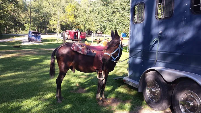 Salamonie River State Forest Horseman's Camp Picture 8