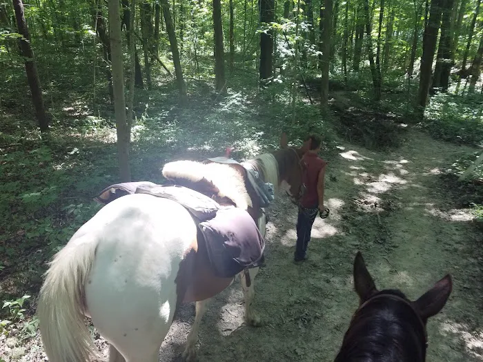 Salamonie River State Forest Horseman's Camp Picture 6