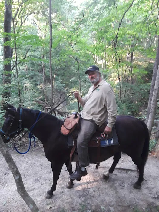 Salamonie River State Forest Horseman's Camp Picture 7