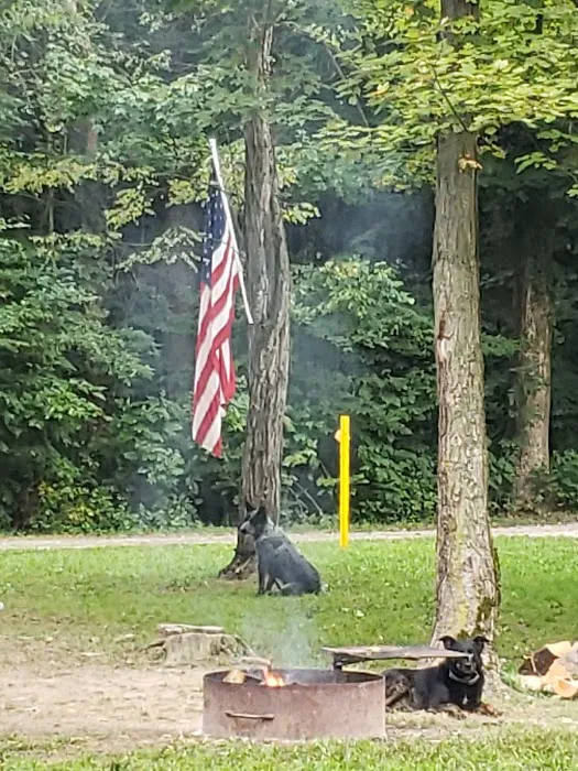 Salamonie River State Forest Horseman's Camp Picture 9