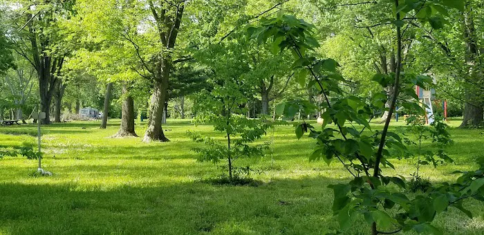 Walnut Grove Campground Picture 3