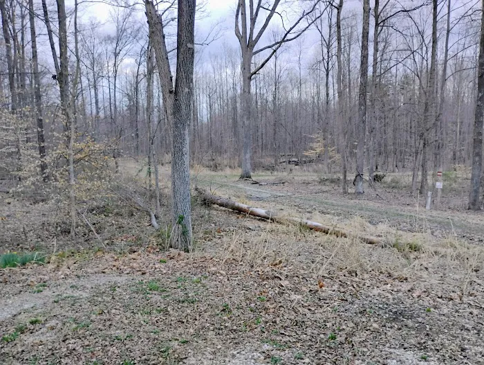 Clark State Forest Horse Campground Picture 6