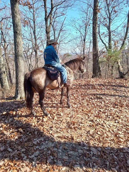 Deam Lake Horse Campground Picture 2