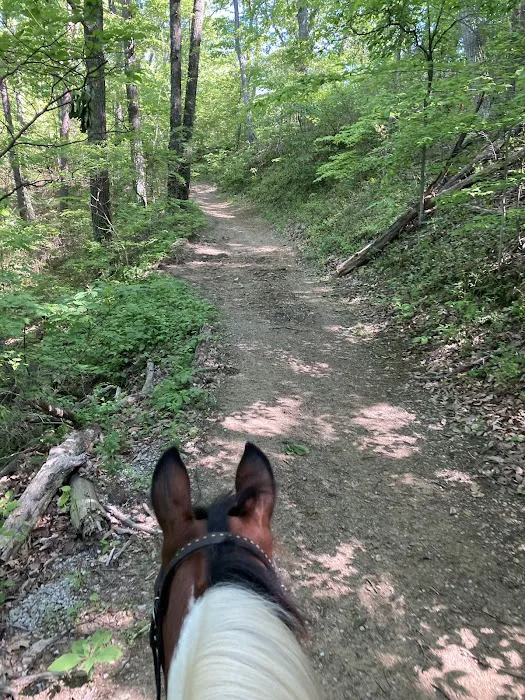 Deam Lake Horse Campground Picture 9