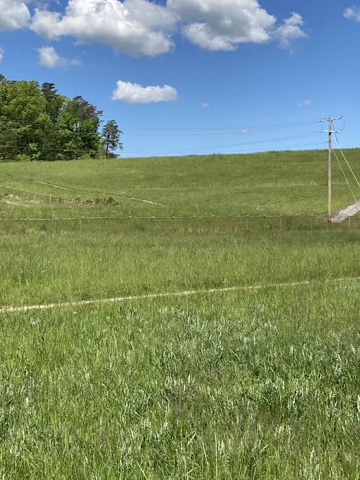 Deam Lake Horse Campground Picture 7