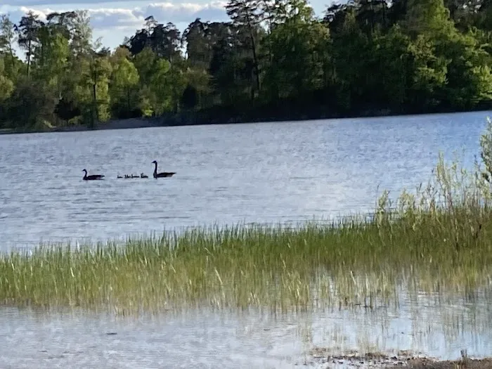 Deam Lake Horse Campground Picture 5