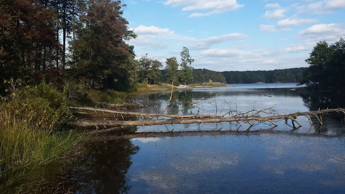 Deam Lake Horse Campground Picture 6