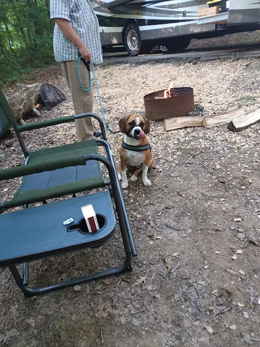 Deam Lake Horse Campground Picture 10