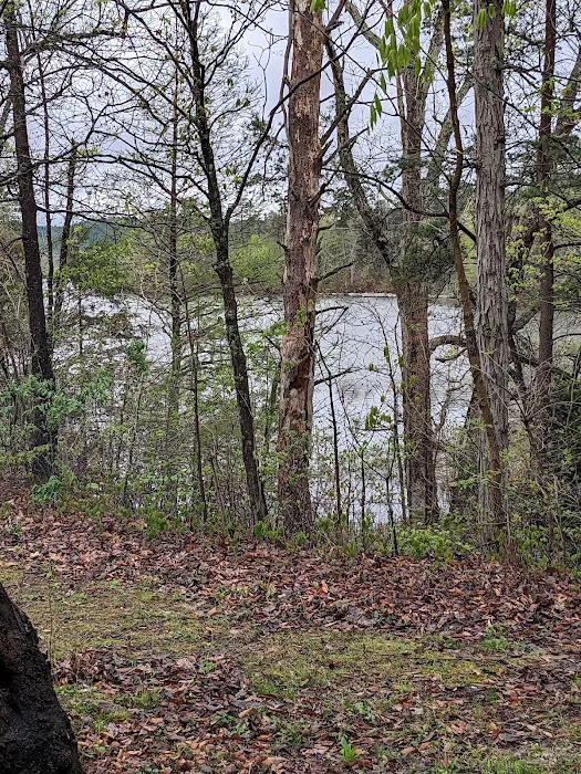 Deam Lake Family Campground Picture 2