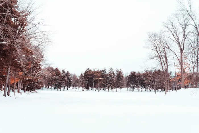 CERA Sports Park & Campground Picture 2