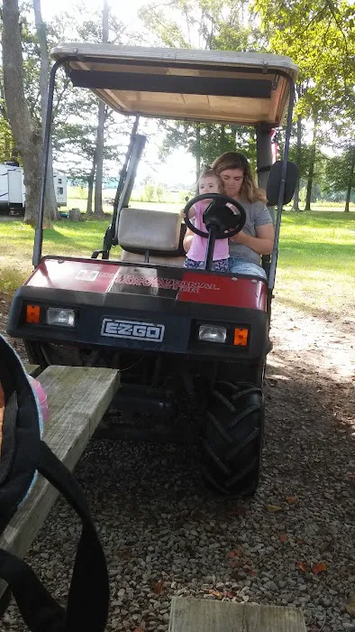 Moose Park Campground Picture 1