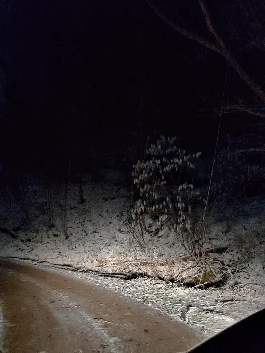 Round Knob Picnic Area Picture 6