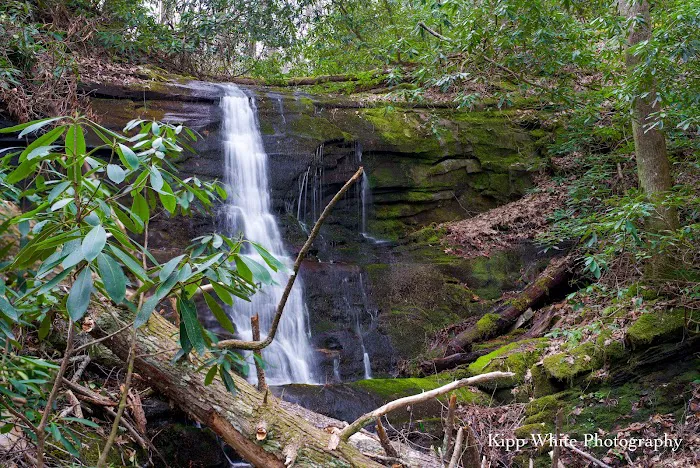 Round Knob Picnic Area Picture 8