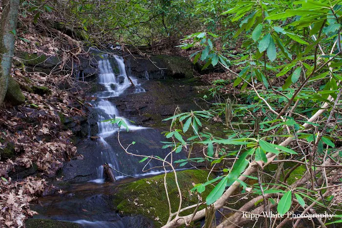 Round Knob Picnic Area Picture 9