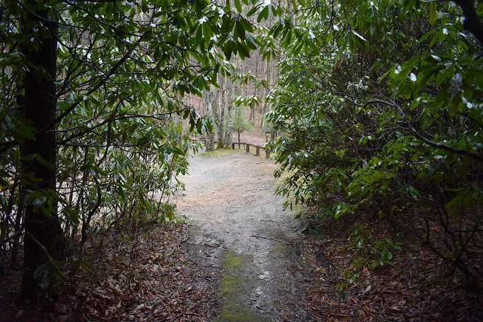 Round Knob Picnic Area Picture 7