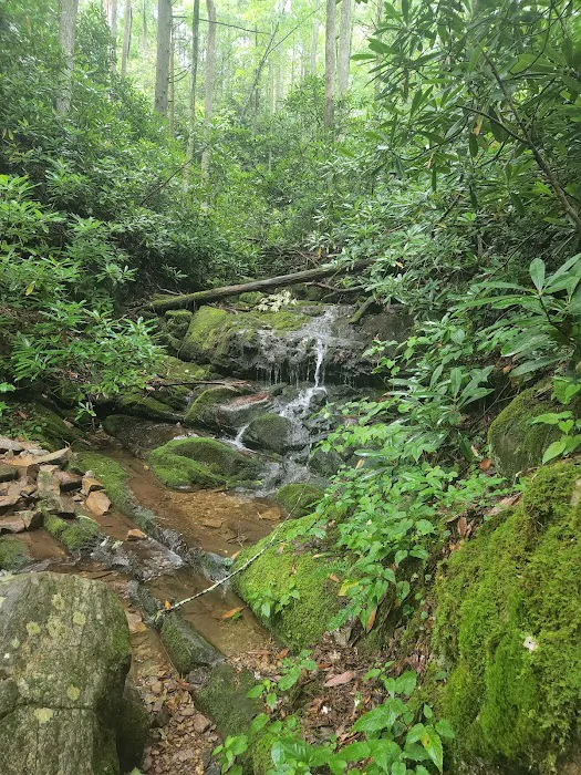 Round Knob Picnic Area Picture 1
