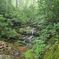Round Knob Picnic Area ico