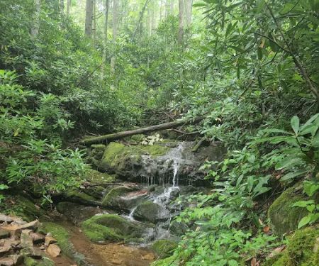 Round Knob Picnic Area