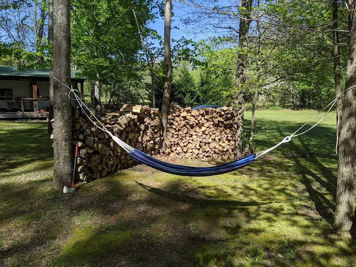 Tall Timbers Campground Picture 1