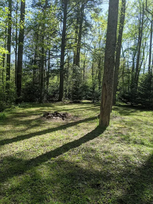 Tall Timbers Campground Picture 6