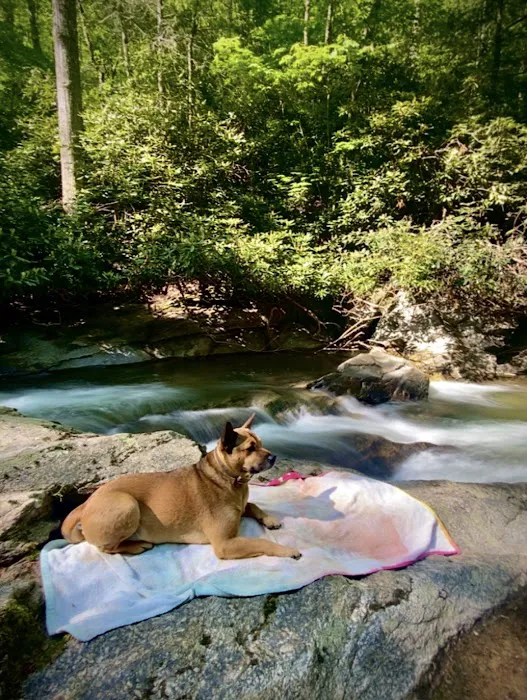 Mountain Paradise Picture 4