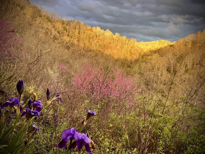 Mountain Paradise Picture 7