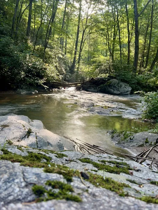 Mountain Paradise Picture 3