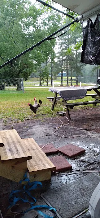 Cedar Pond Campground Picture 2