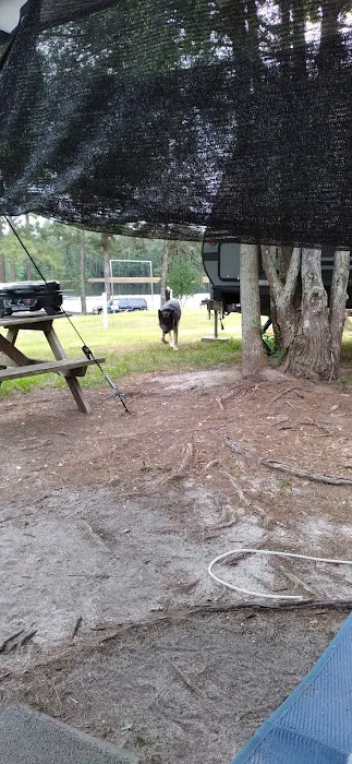 Cedar Pond Campground Picture 1