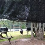 Cedar Pond Campground