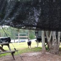 Cedar Pond Campground ico