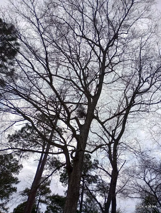 Edmund RV Park Picture 7