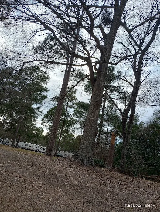 Edmund RV Park Picture 5