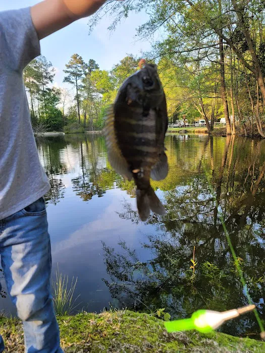 MAGNOLIA CAMPGROUND INC Picture 5