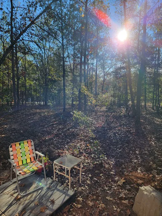 Woodlands Hollow Nature Retreat Picture 8