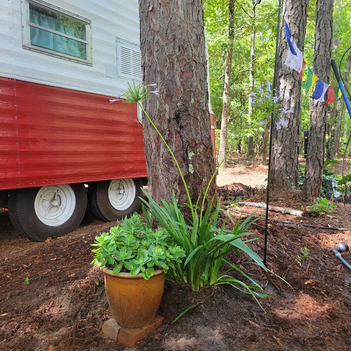 Woodlands Hollow Nature Retreat Picture 5