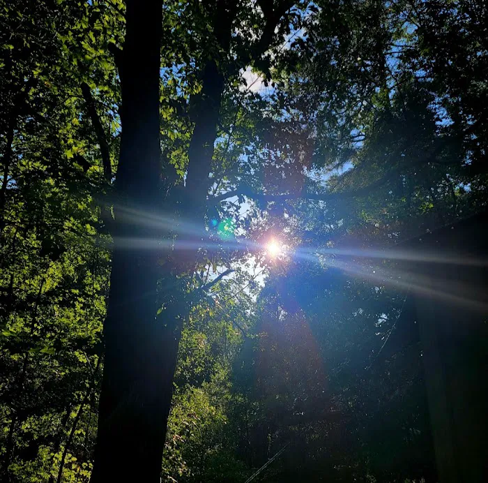 Woodlands Hollow Nature Retreat Picture 3