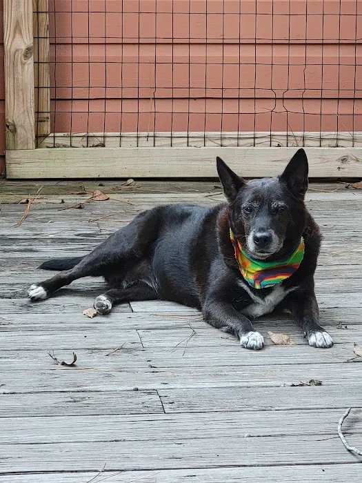 Woodlands Hollow Nature Retreat Picture 6