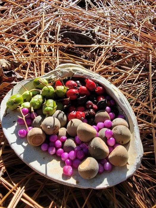 Woodlands Hollow Nature Retreat Picture 10